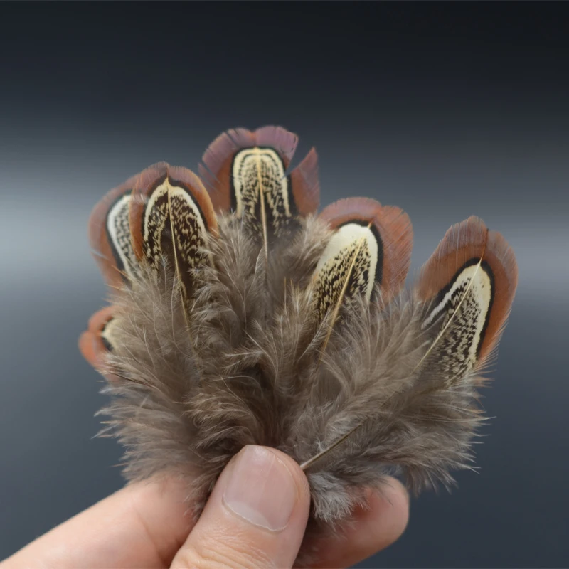 Plumas de faisán Ringneck para ninfa y Caddis – Sillín y cuello - imagen 3