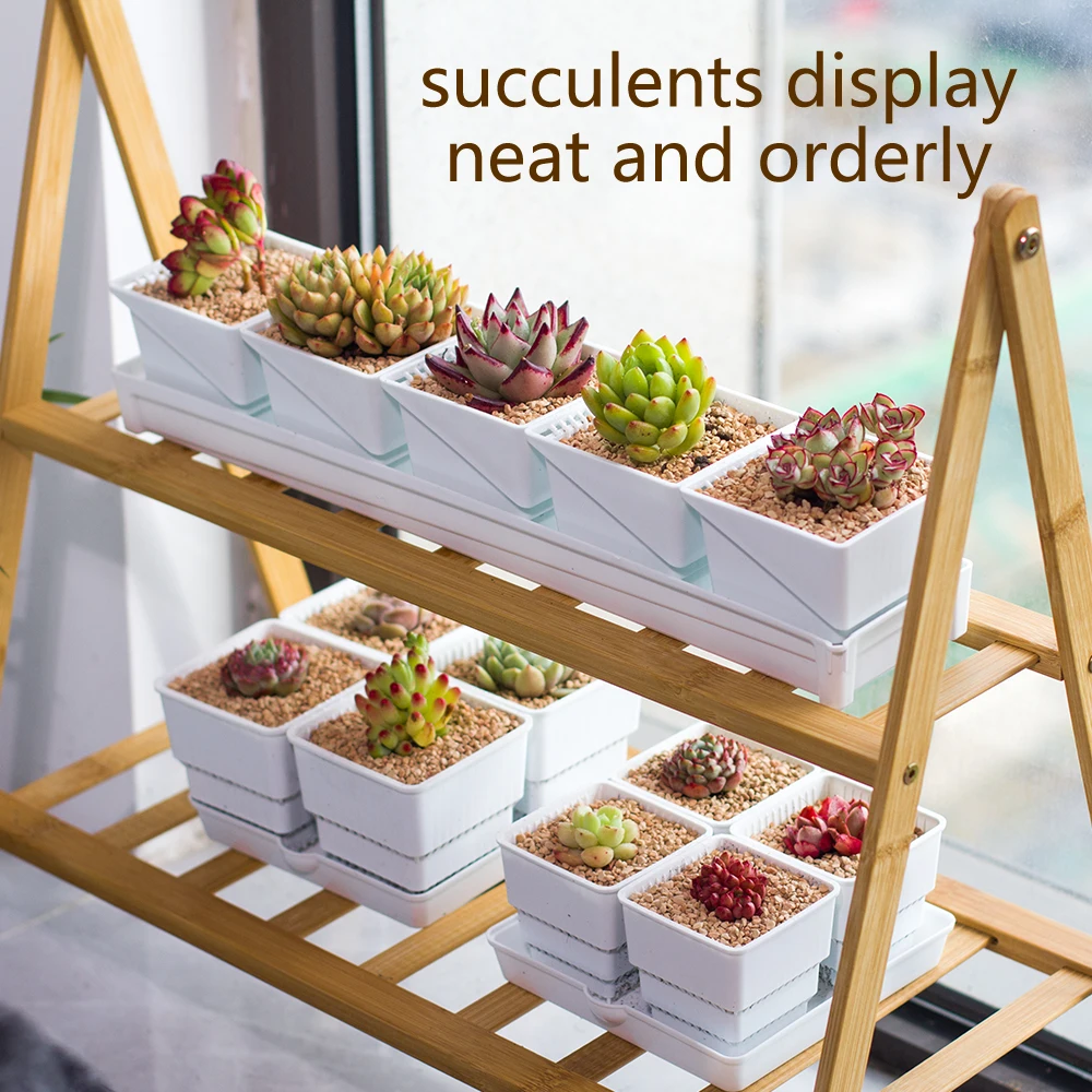 Meshpot 2 3 4 Inches Square Plastic Succulents Planter Pots With Tray Set,Nursery Pot Cactus Plant Pot Garden Pot