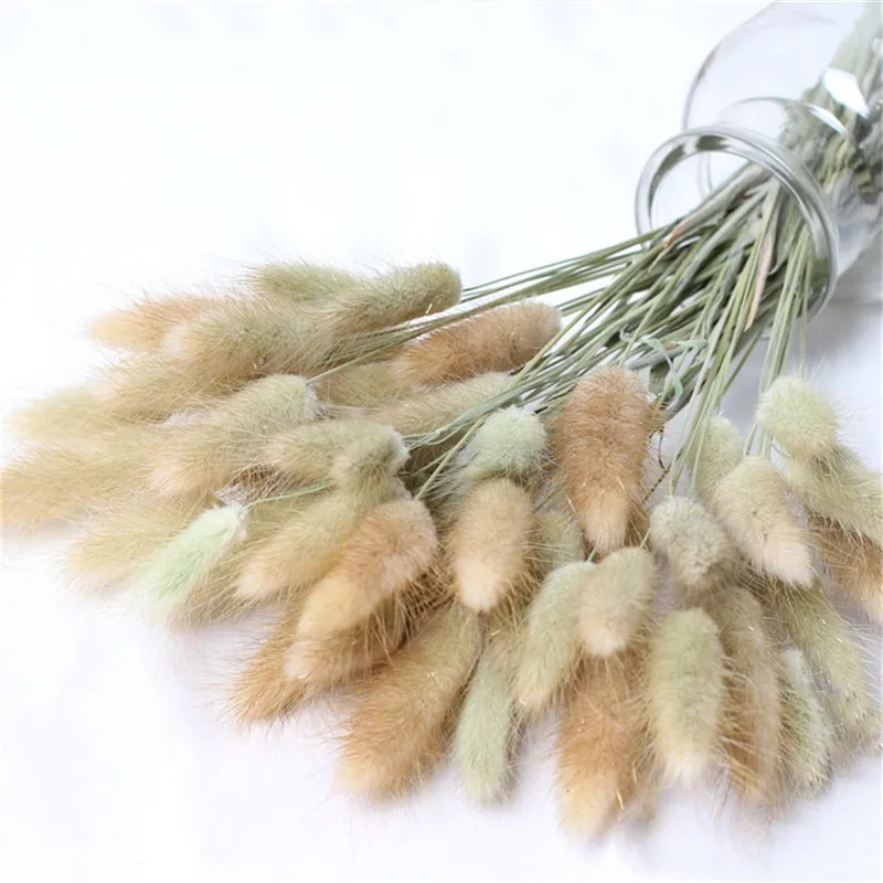 

100pcs Dried Rabbit Grass Bouquet Home Weeding Flower Bunny Tail Natural Plants Floral Home Decoration