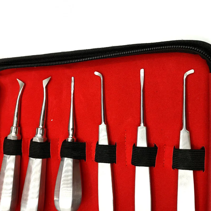 13pcs Dental Elevator Set Made in Pakistan Teeth Extraction Tooth Extracting Forceps Stainless Steel Curved Root Lift Elevator