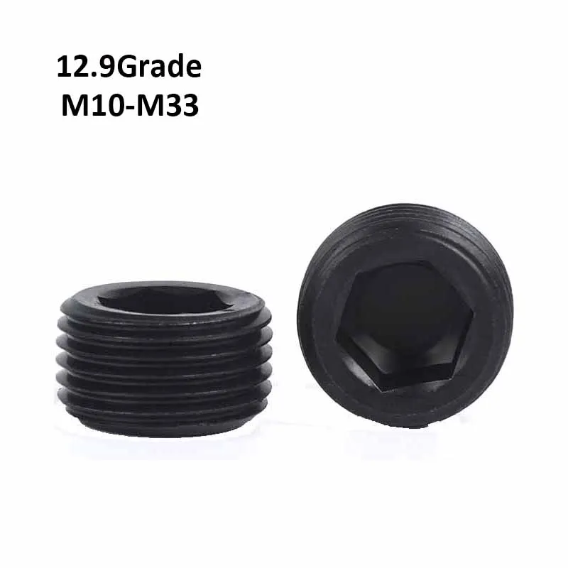 

M10-M33PG1.5 Plug Throat Screw Black Grade 12.9 Carbon Steel Hollow-Lock Screw/Jam Set Screws/Oil Plug Screw