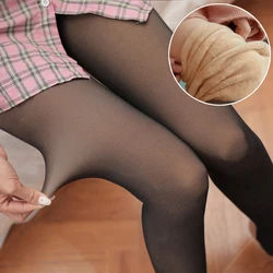 Mallas ajustadas translúcidas falsas para mujer, Leggings gruesos de terciopelo, elásticos, cintura alta, cálidos, Invierno