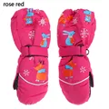rose red
