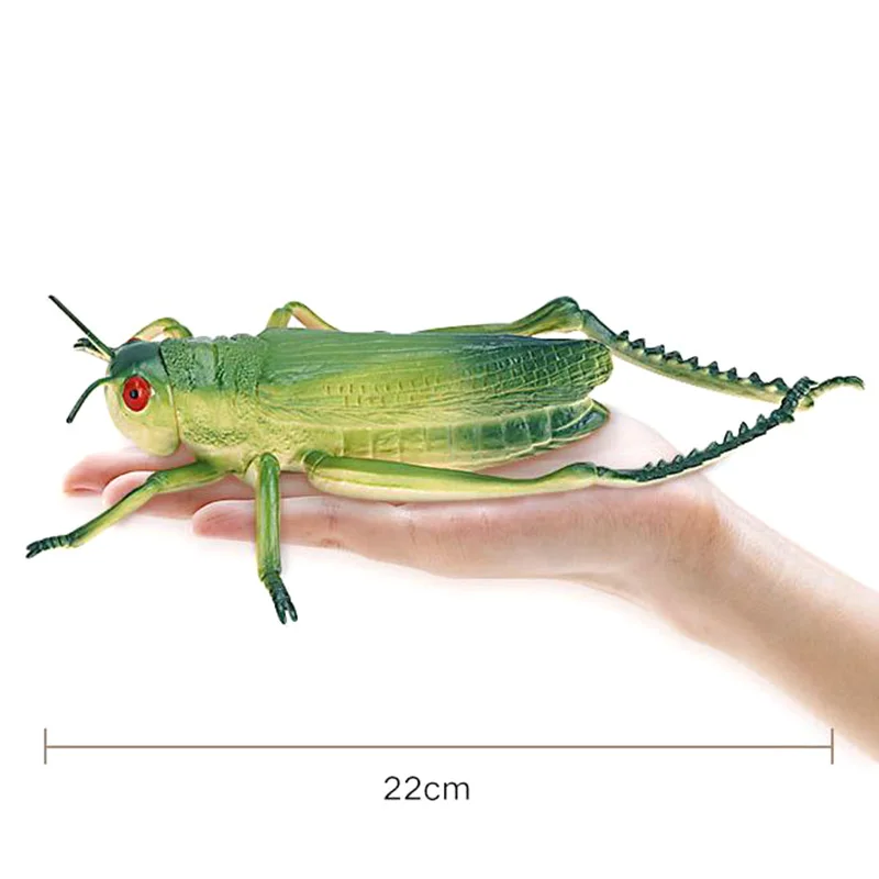 Big Simulation Insects Figures Toys For Children Wild Reptile Model Spider Bee Ant Ladybug Scorpion Grasshopper Gifts For Kids