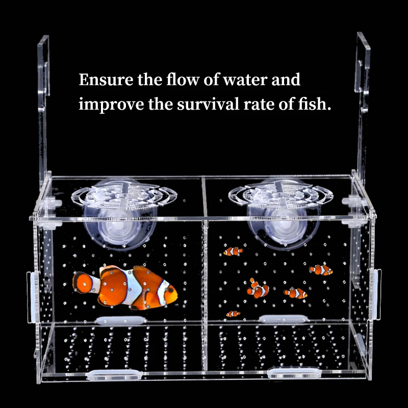 Aquarium Isolation Box Aquarium Kleine Braten Zucht Box Multifunktionale Laichen Brut Zimmer Aquarium Zubehör Fisch Supplie – Detail 7