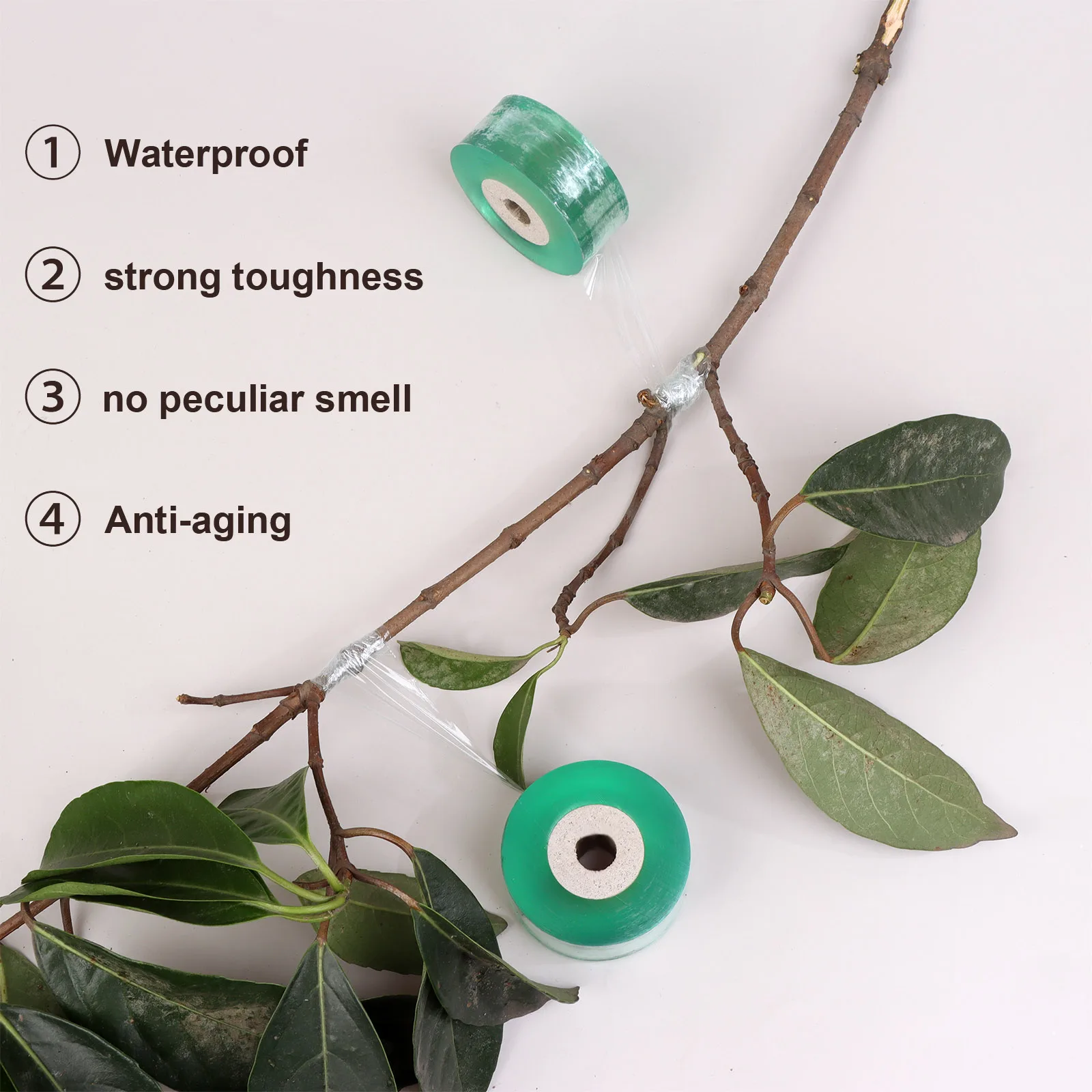 Stroller Grafting Tape with Good Elasticity, Garden Grafting Tape for Fruit Tree