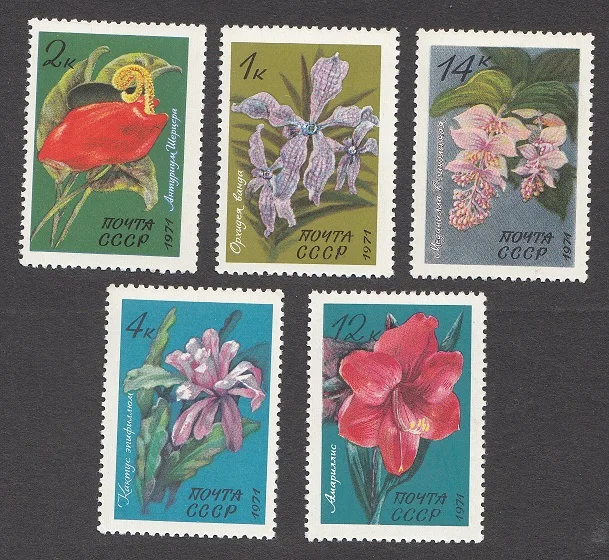 5Pcs/Set New CCCP Post Stamp 1971 Tropical and Subtropical Plants and Flowers USSR Stamps MNH