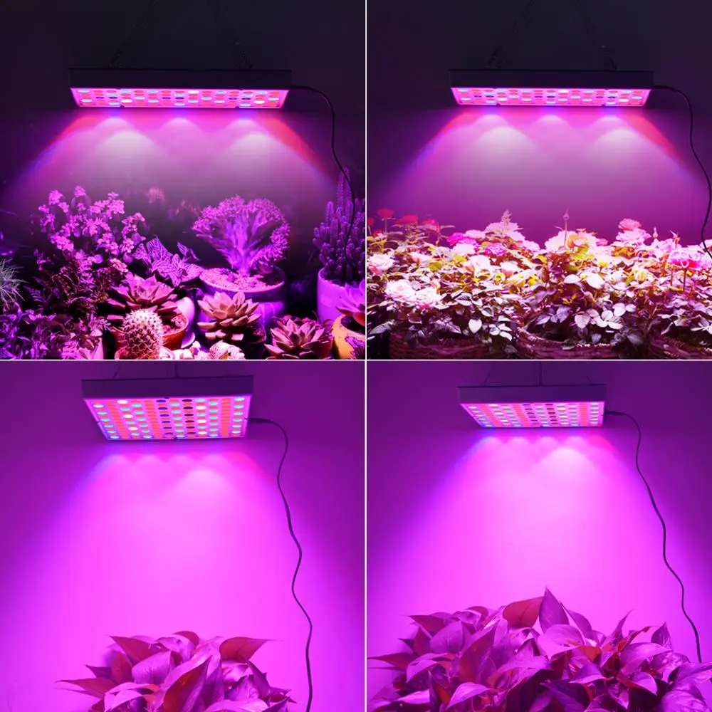 25W/45W Led Grow Light 75Leds /144Leds Hoge Lichtopbrengst Volledige Spectrum Phytolamp Led groeien Lamp Bloemen Zaailingen Groeiende