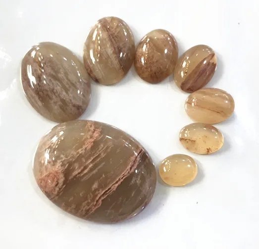 Natural Coral Fossil Gem Stone Cabochon 30x40mm Oval Semi Stone Cabochon 2pcs/lot Stone Pendant Face Wholesale Loose Bead