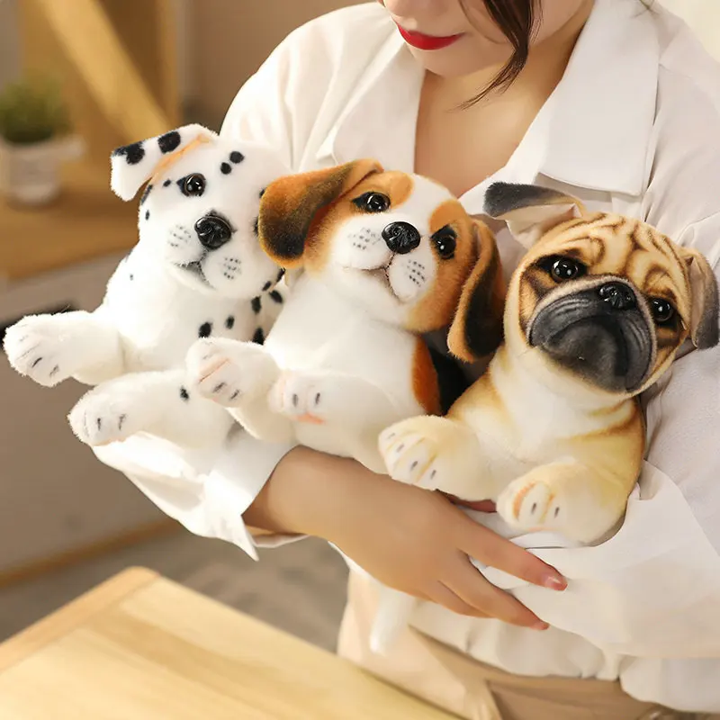 Jouets en peluche de chien de simulation mignon, peluche réaliste, beaux cadeaux, décoration de la maison et de la voiture, nouveau, PDPButter