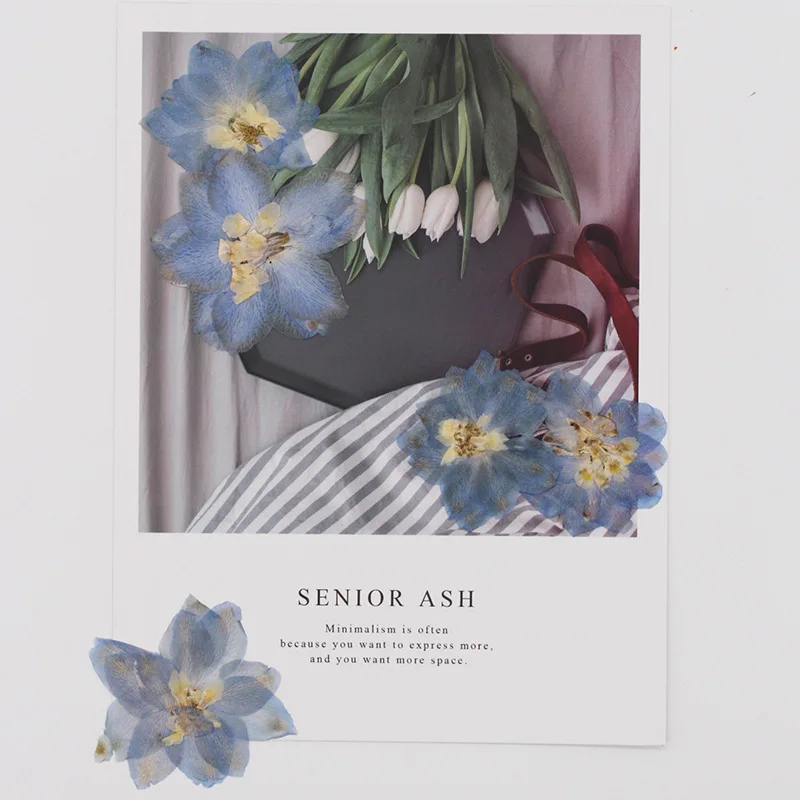 60 قطعة ضغط المجففة كبيرة 5-7 سنتيمتر Consolida Ajacis زهرة النباتات المعشبة للمجوهرات الهاتف حالة بطاقة بريدية المرجعية شمعة DIY