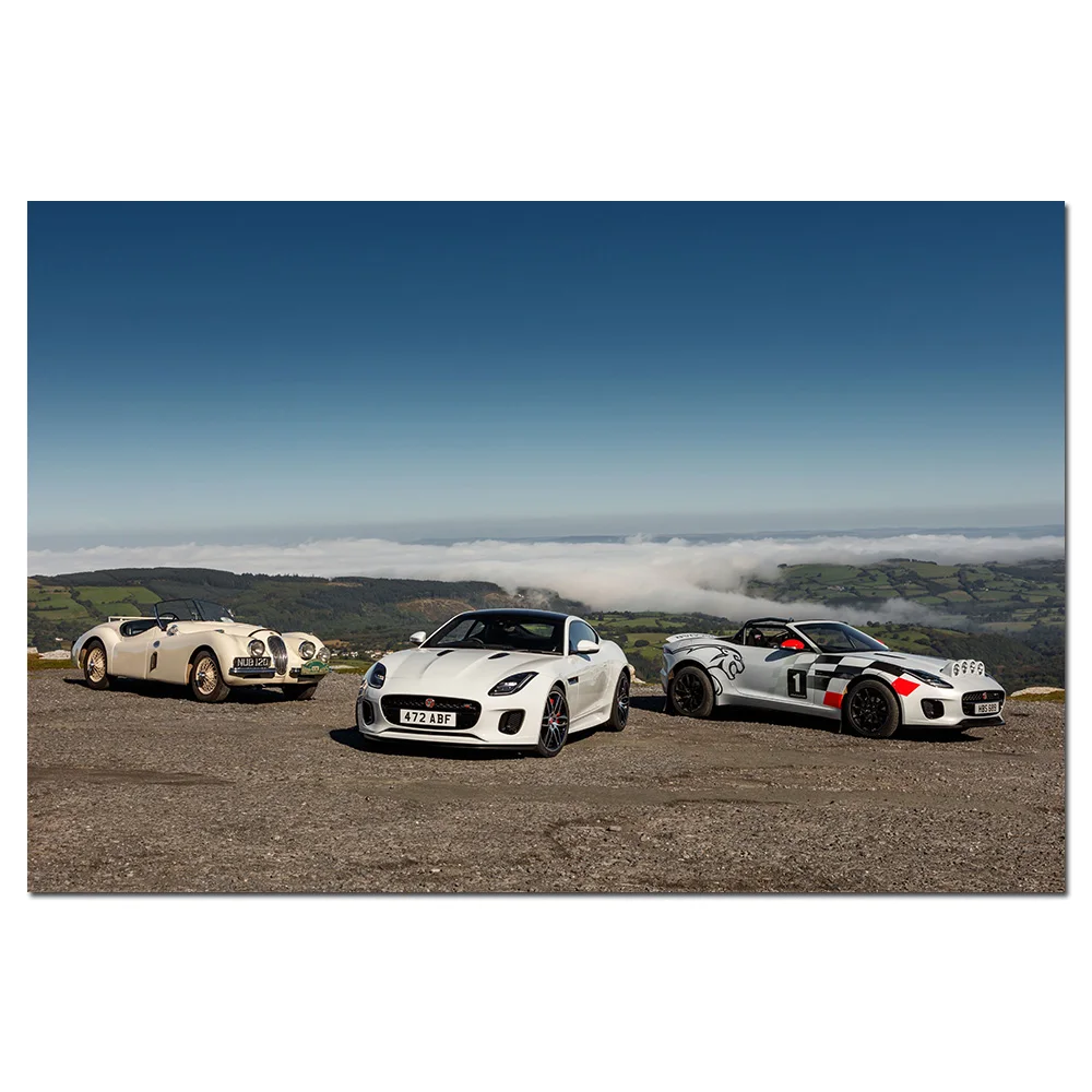 Wall Art Posters and Prints Jaguar F Type Rally Car Modern Canvas Paintings for Living Room Decor