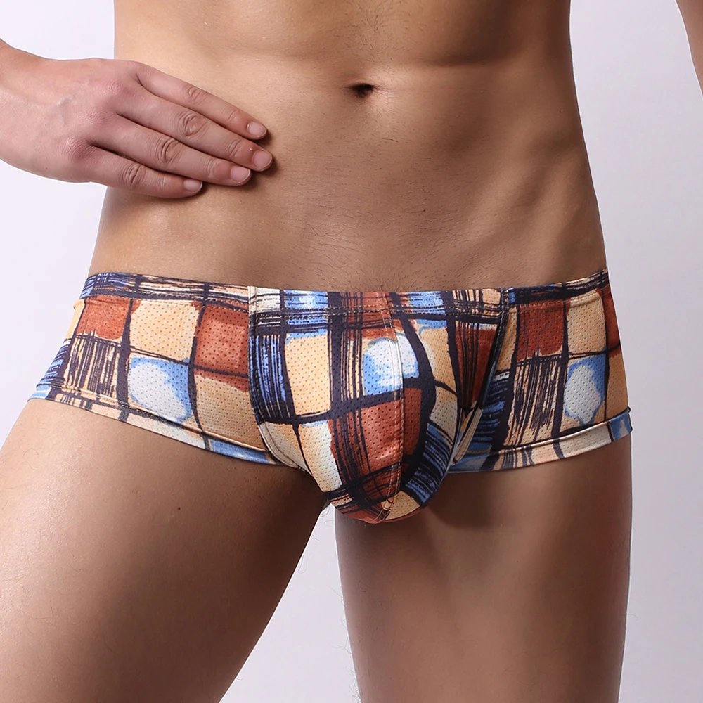 Men Underwear Sexy Low Waist U Convex Bulge Pouch Briefs Printed Mesh Male Panties Cueca Tanga Comfortable Soft Underpants