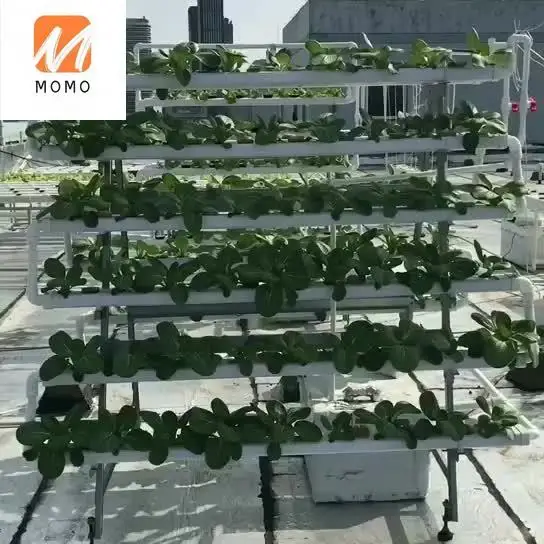 168 Holes Multi Span Greenhouses Vertical NFT Hydroponic Systems For Lettuce