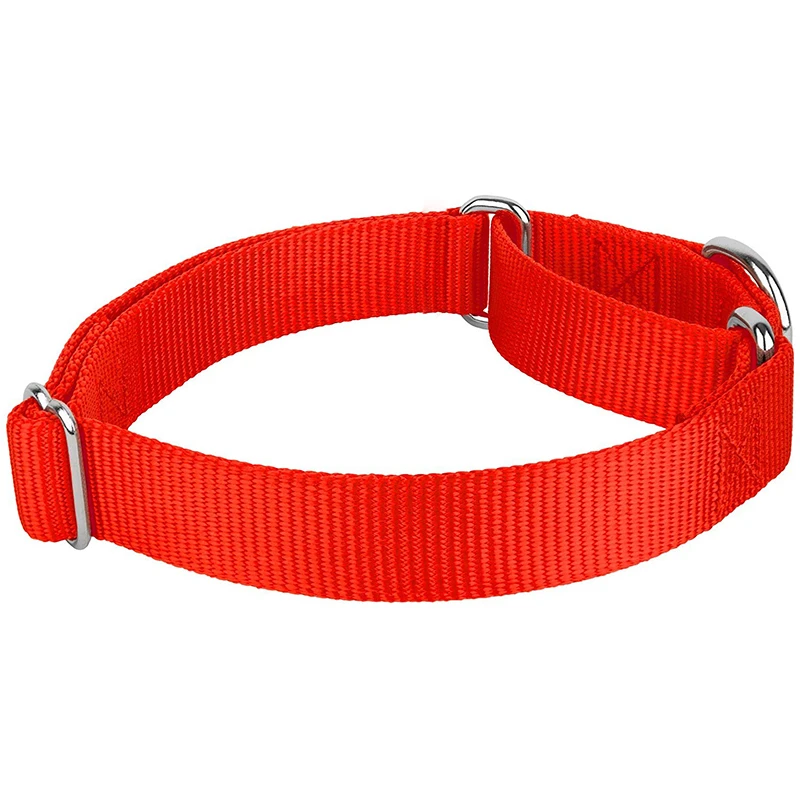 Benepaw Sturdy Martingale Nylon Dog Collar Adjustable Soft Comfortable Puppy Pet Collar For Small Large Dogs Traning Control