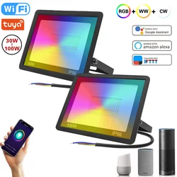 LED Reflector RGB Smart Floodlight Outdoor Spotlight 30W 50W 100W Waterproof 220V Warm Cool Lighting Tuya WIFI Control for Alexa