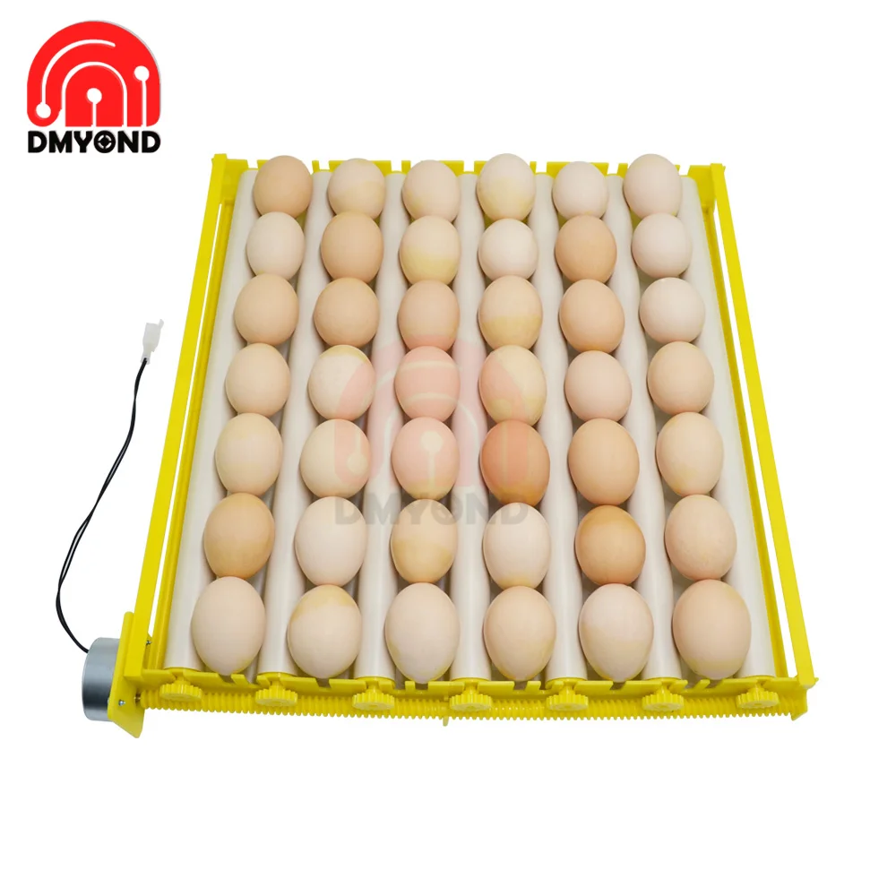 Automático Rotary Egg Turner Tray Incubadora para incubação, Farm Incubation Tool, Duck Quail Bird Poultry Acessório, 360 Graus