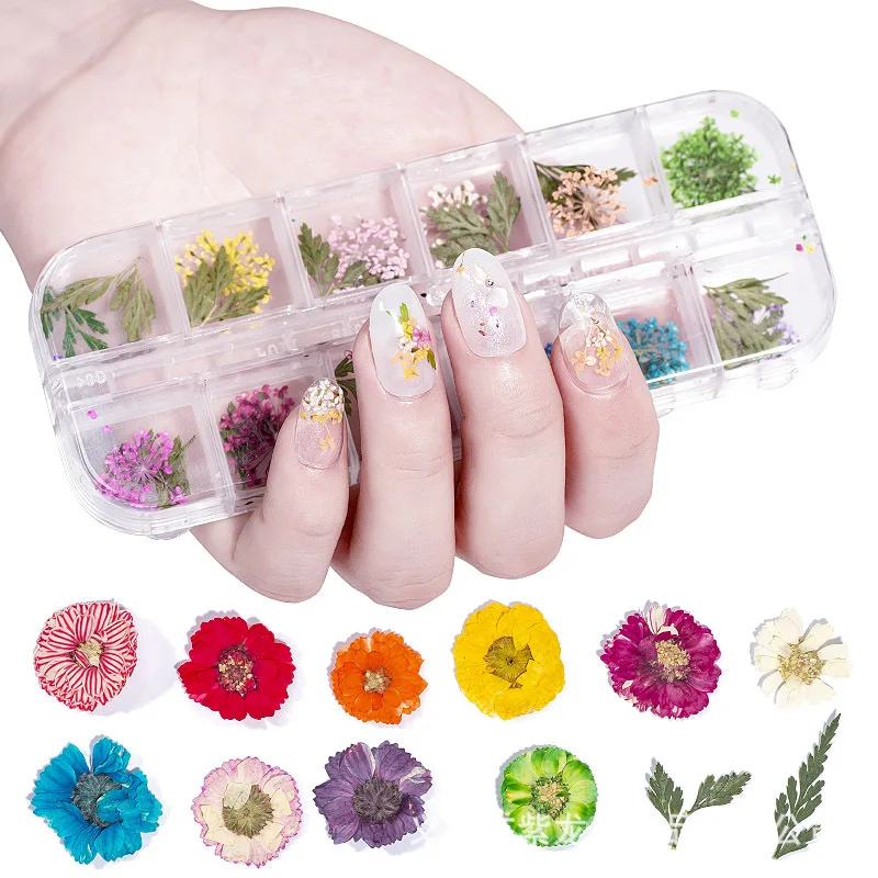 Mixed 3D Dried Flower Nail Decoration Natural Floral Sticker Colorful Dry Flower DIY Nail Art Decals Jewelry For Nail 3D Sticker