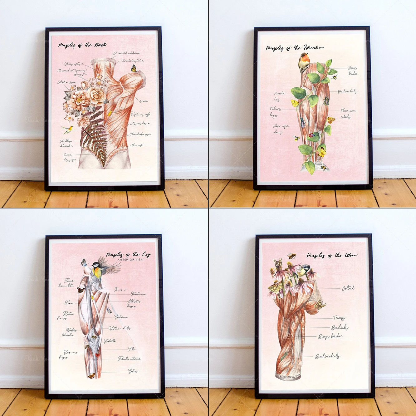 

Gift for Massage Therapist Floral Anatomy Massage Room Art Muscular System Posters Massage Therapy prints for Naturopathic offi