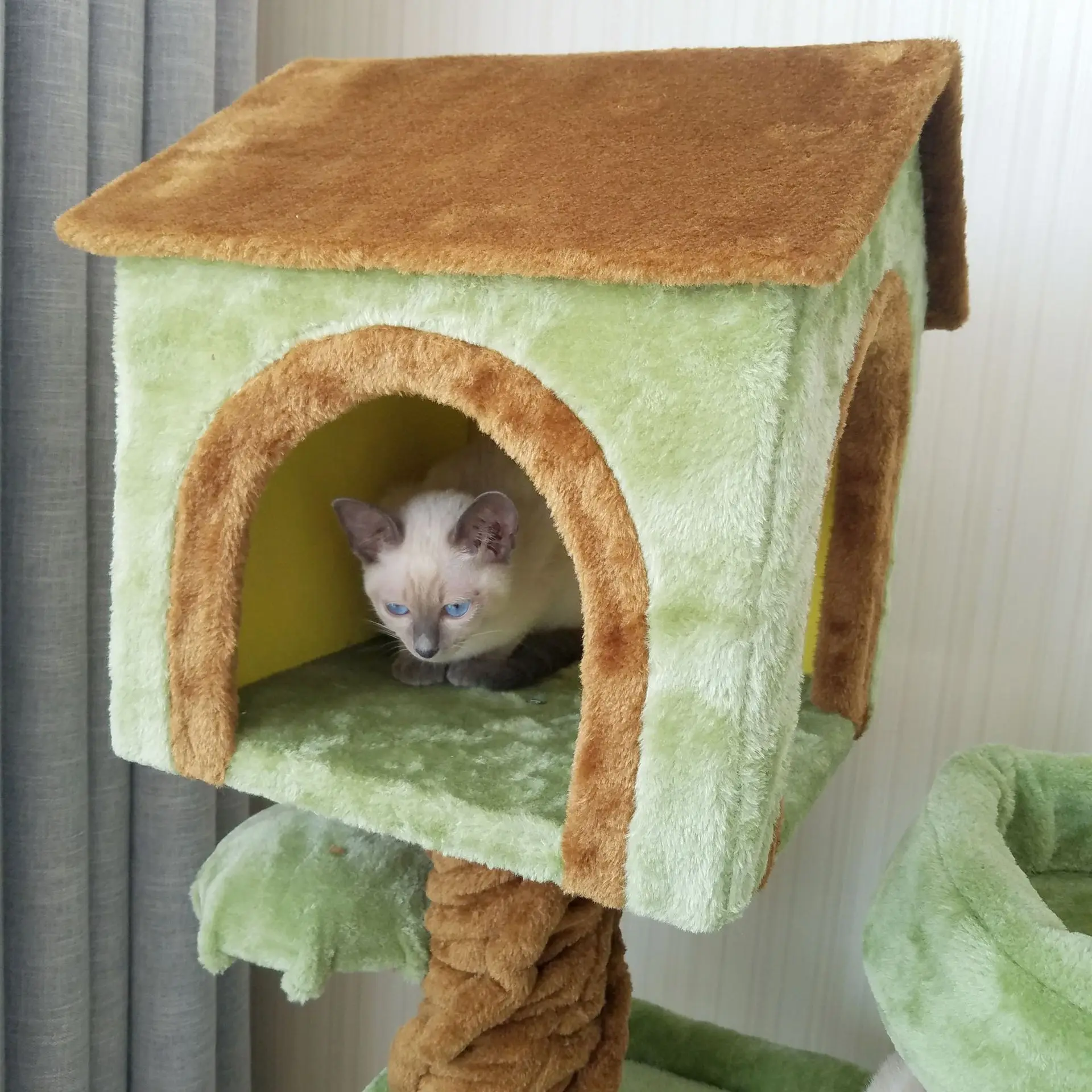 Tongtianzhu Climbing Frame, Large Wooden Cat Litter Tree, House, Pet Supplies, Luxury