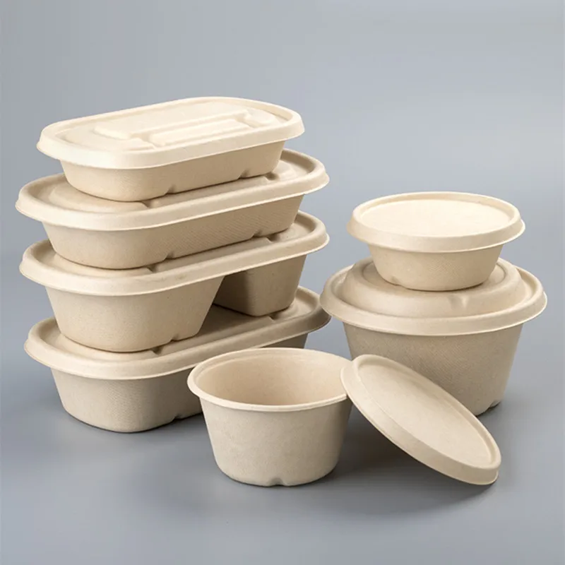 10pcs Sugarcane Pulp Biodegradable Lunch Box Salad Light Meal Food Packaging Boxes Takeaway Dessert Paper Cups with Lids