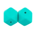 100Pcs Turquoise