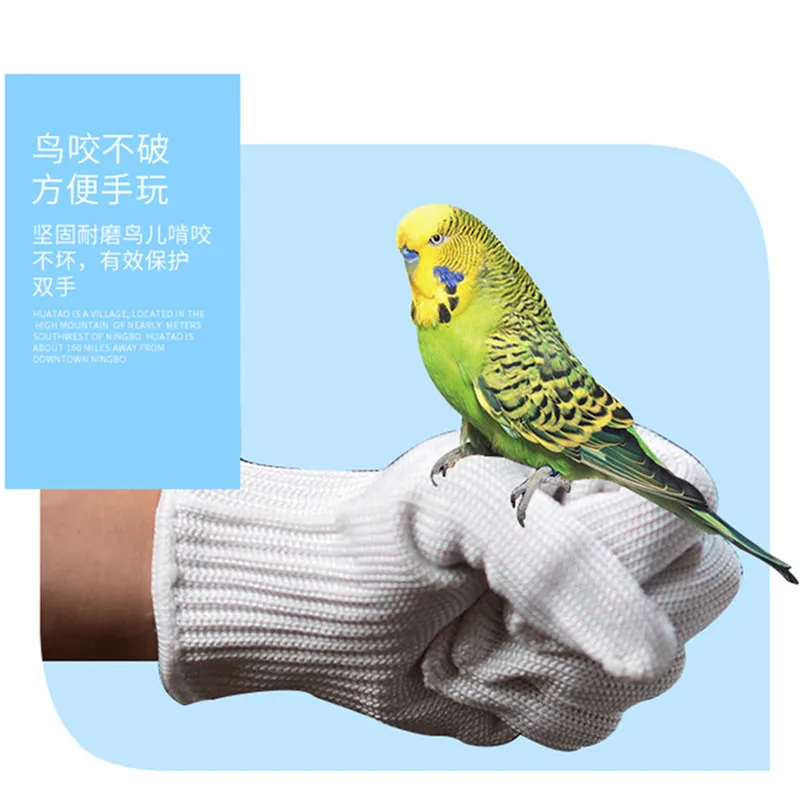 Parrot Anti-bite Gloves Pet Catching Bird Flying Parrot Training Wire Gloves Prevent Biting Protect Hands Bird Training Supplies