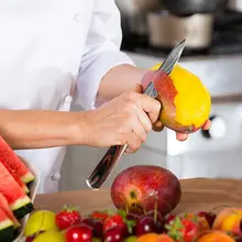 Kitchen Knife Set 1-10 pcs High Carbon Steel #3