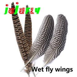 Premium 5pcs winging materials fly tying feathers hen pheasant tail guinea plume feather trout fishing wet flies tying materials