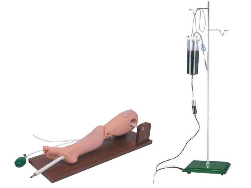 Tibial bone puncture and femoral vein puncture teaching training Simulator Training manikin