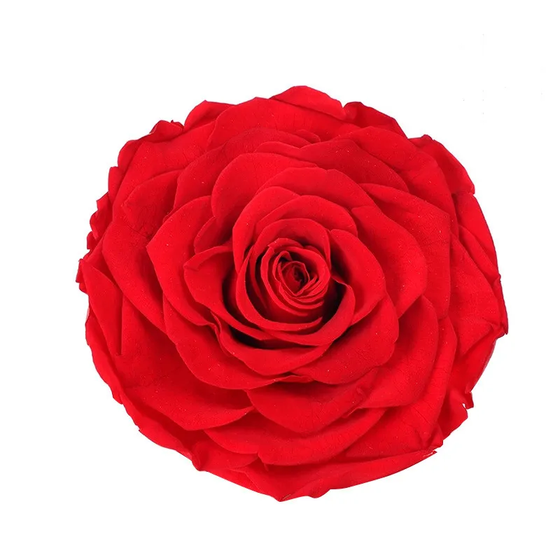 Factory Direct Supply Immortal Flower B Grade 4-5cm Rose Head 8 Boxed Christmas Decoration Valentine's Day Birthday Gift Bouquet