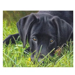 Black Labrador 5D Round Square Embroidery Diy Full Diamond Painting Sets Mosaic Puppy Dog Pictures Rhinestone ArtZP-1564