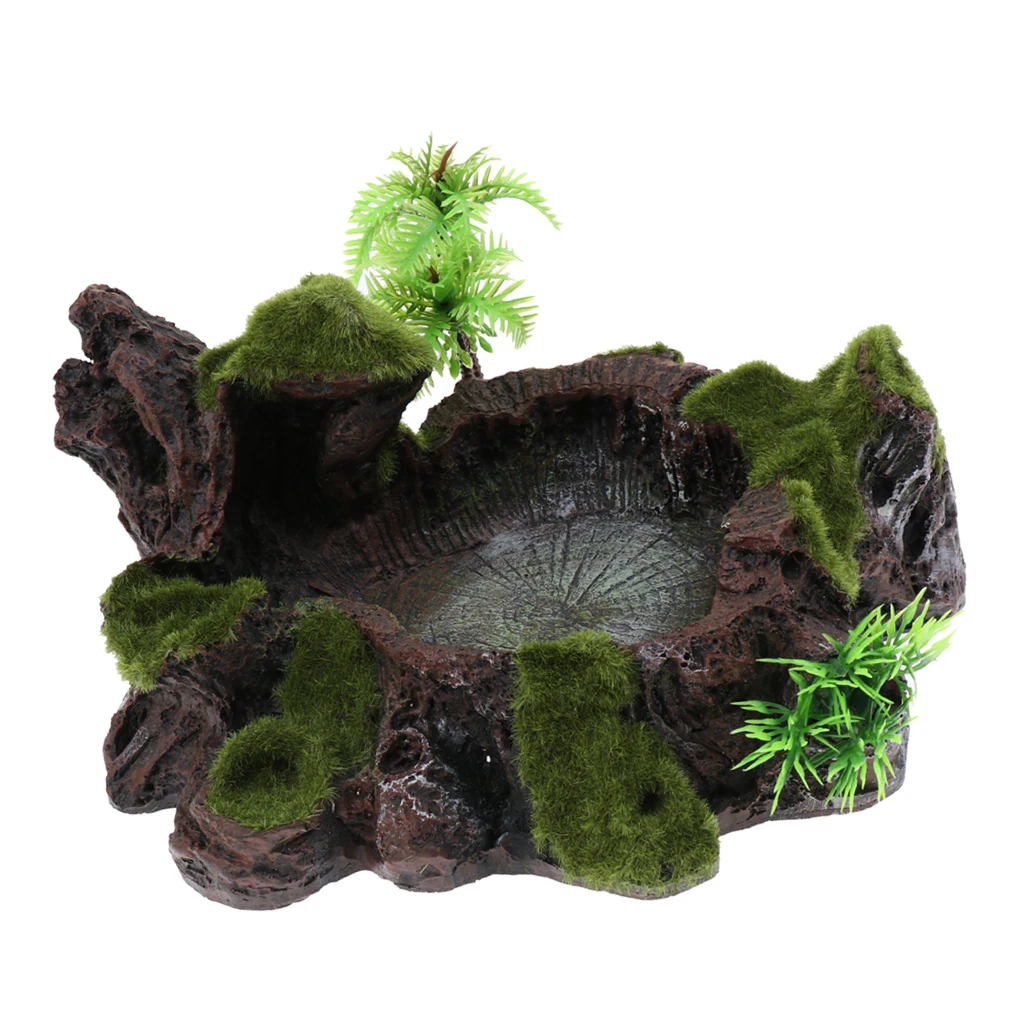 Rock Bowl Food Water Dish Feeder Plant Decor For Terrarium Reptile Tank