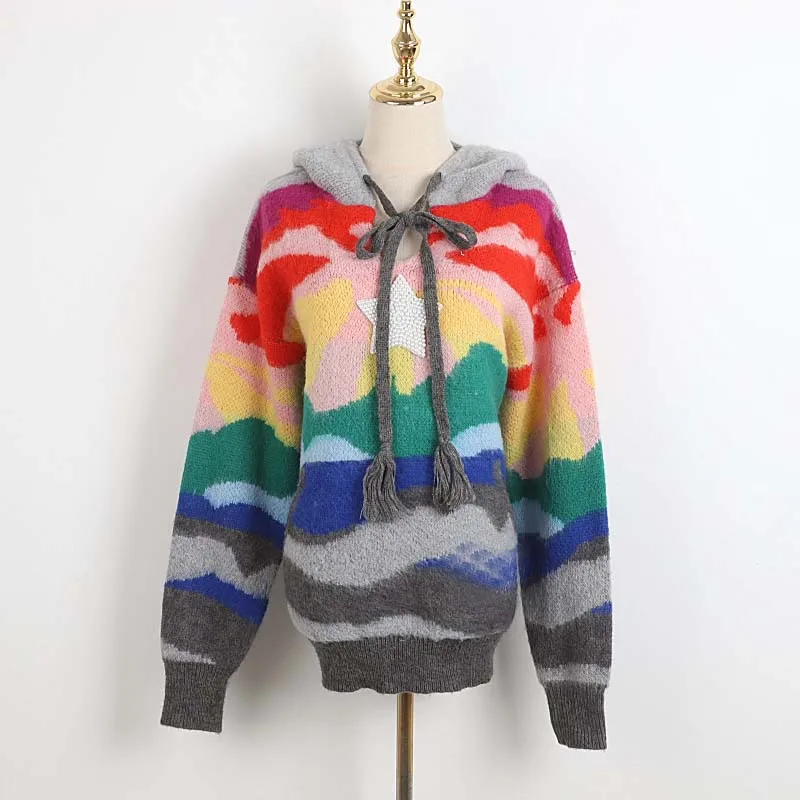 

2020 Winter Sweater Long Sleeve Womens Sweater Hooded Fashion Pullover
