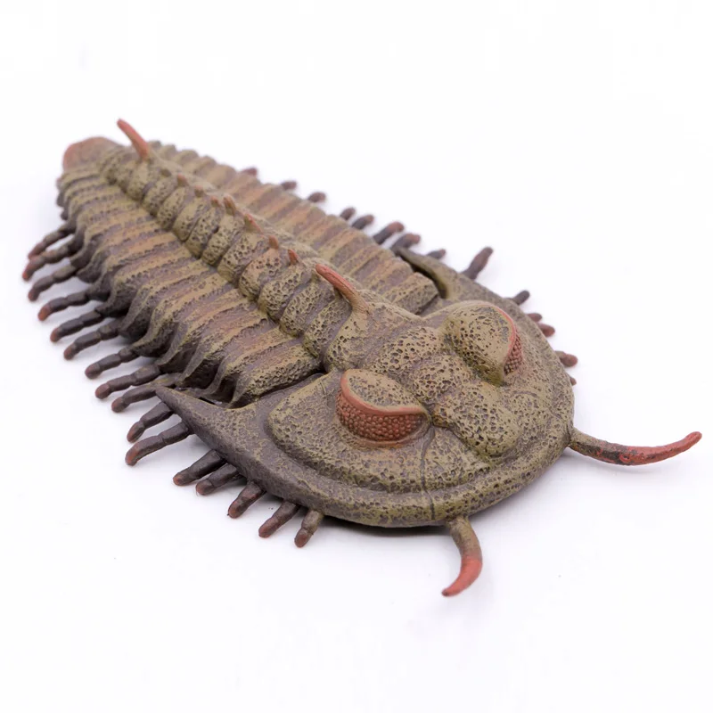 Colecciona animales prehistóricos Ocean Redlichia rex trilobite, modelo educativo de naturaleza, Figura de plástico de PVC #88906