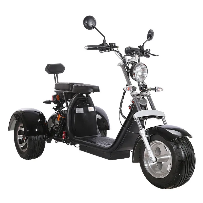 2Pcs 3 Wheels Motorcycle Double Seat Electric Tricycle for Adult 25cm Wide Tire Anti-theft Disc Brake Battery Removable