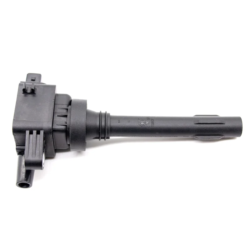 1PCS High Performance China Original Torch Ignition Coil TEX20064A Replace for F01R00A045 Fit with Kaicene RaesorM80 1.5L