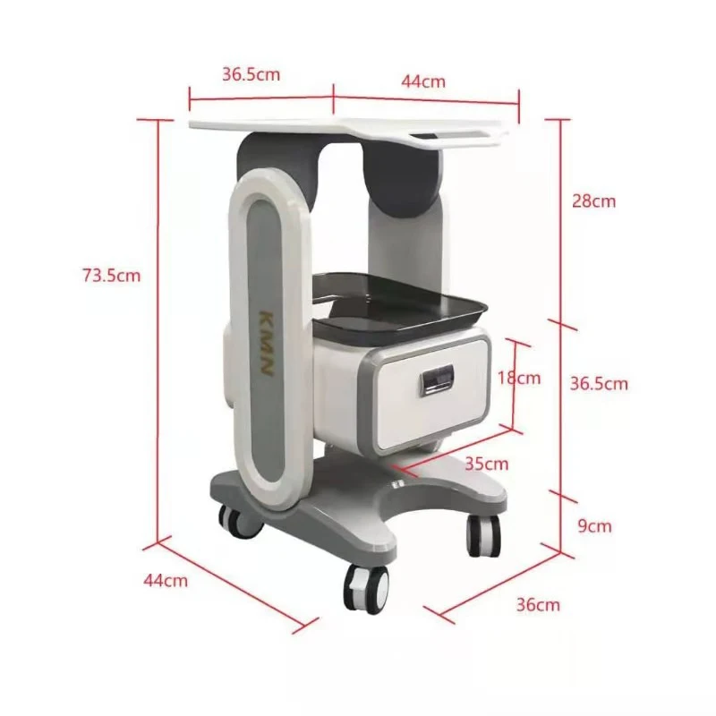 ABS The Double Drawer Aluminum Alloy Trolley Stand For Beauty Machine Assembled Trolley Cart SPA