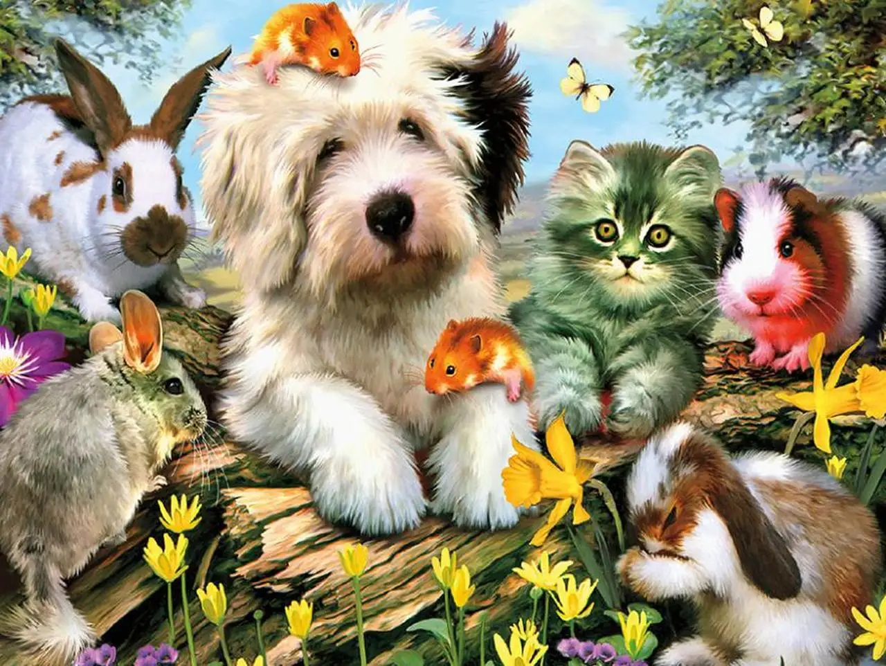 Jmine Div 5D Diamond Painting Cross Stitch Kits Full Diamond Art Schnauzer Dog Cat Rabbit 3D Animal Paint by Diamonds