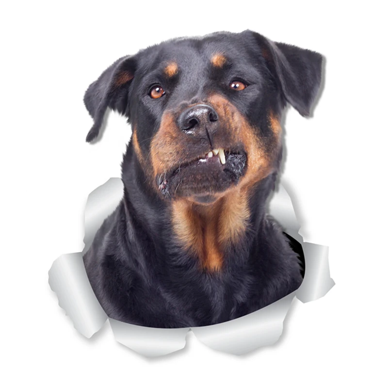 a0530# # Removable Decal Funny Rottweiler Dogs Car Sticker Waterproof Accessories on Bumper Rear Window