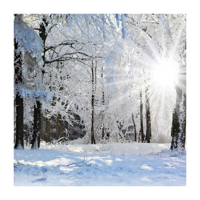 

10x10FT Sunlight Winter Wonderland Snow Trees Branch Forest Woods Custom Backdrop Photo Studio Background Vinyl 300cm x 300cm