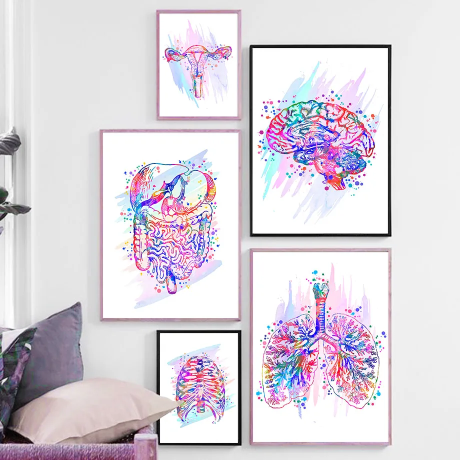 Color Anatomy Brain Heart Skeleton Retro Wall Art Canvas Painting Nordic Posters And Prints Wall Pictures For Doctor Room Decor