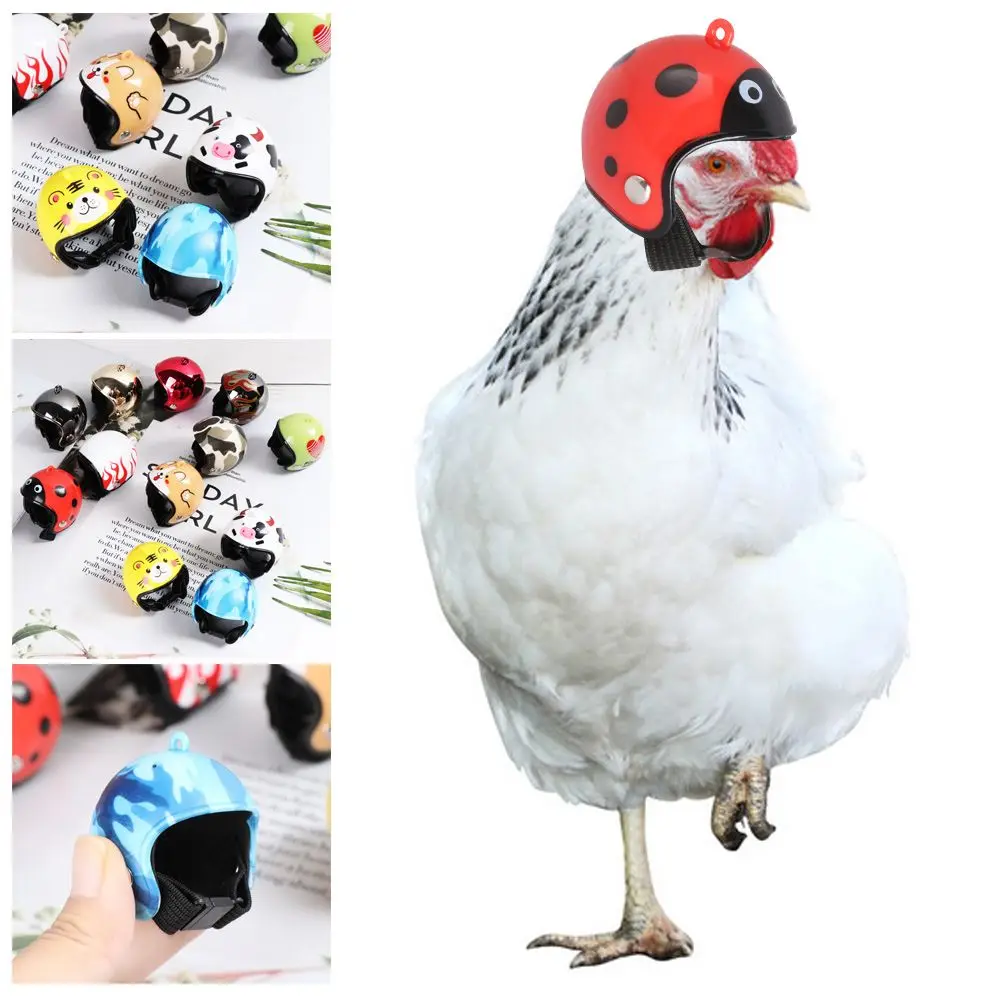 Light Pet Supplies Accessories Sun Rain Protection Hats Chicken Helmet Pet Protective Headgear Bird Protect Cap