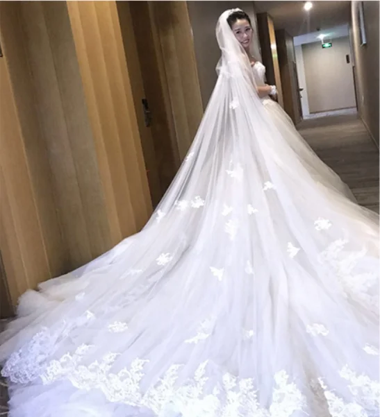 Luxury 3M 4M 5Meters Wedding Veils With Lace Applique Edge Long Cathedral Length Veils Twq Layer Tulle Custom Made Bridal Veil