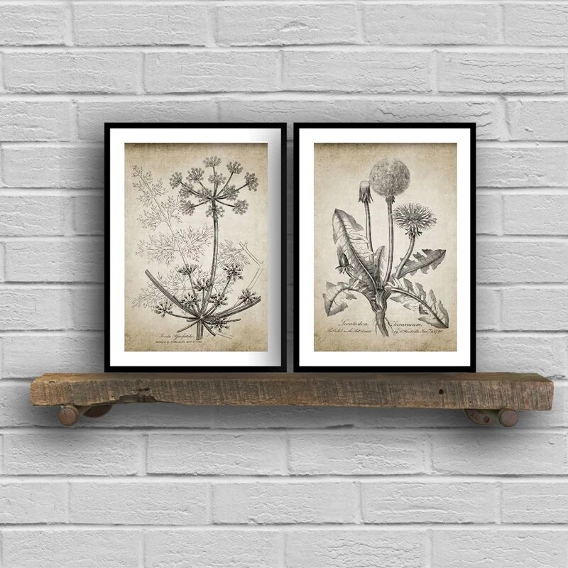 Antique Botanical Vintage Posters and Prints Wall Pictures Plants Retro Wall Art Canvas Painting Home Room Wall Decoration