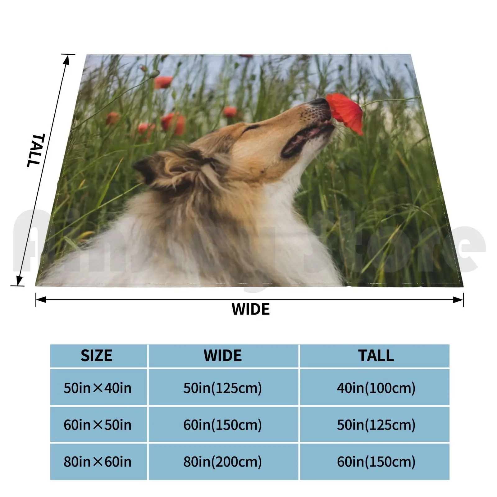 Cute Rough Collie Sniffing To A Poppy Blanket For Sofa Bed Travel Collie Dog Rough Collie Poppy Cute Adorable