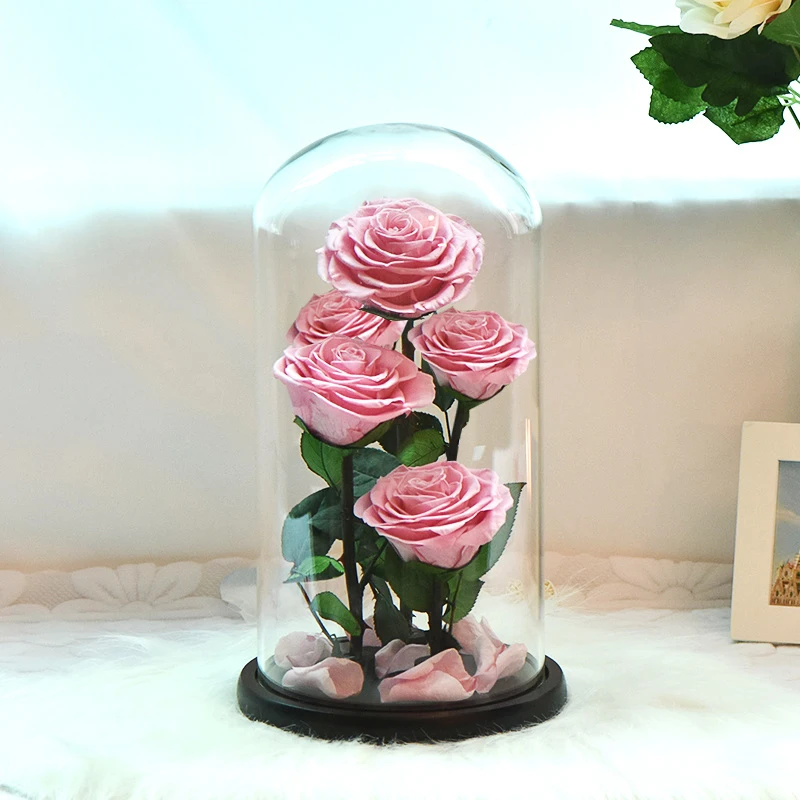 Dropshipping Preserved Rose Beauty and The Beast Real Flowers In A Glass Dome Wedding Mother's Day Birthday Gift for Women