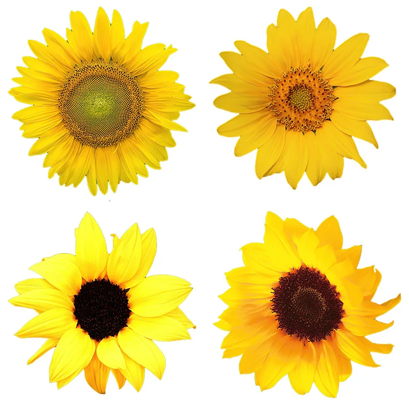 Three Ratels QCF15 Brilliant sunflower  Waterproof Decal Vinyl auto Wrap flower decal on Wall Fridge Toilet car bike