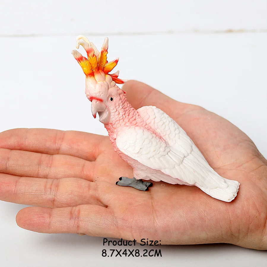 Wilde Vogels Dieren Kalkoen Ara Uil Eagles Struisvogel Pelikaan Beeldjes Speelgoed Dier Action Figure Leren Onderwijs Vogels Geschenken