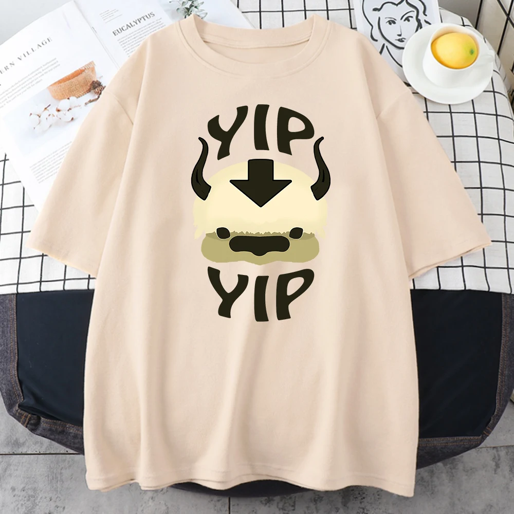 Woman Tshirts Avatar The Last Airbender Harajuku Graphic Top Tee Summer Short Sleeve Cotton Crewneck Streetwear Tshirts Female